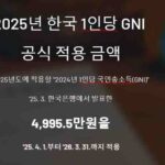 1인당Gni-2025